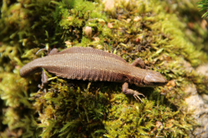 Работа 4032344