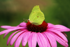 Работа 1400392