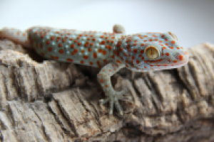 Работа 1400373