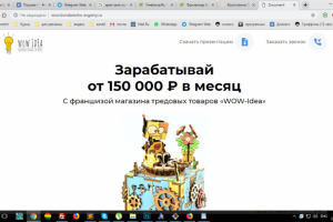 Франшиза wow-idea