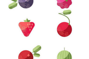 Berries