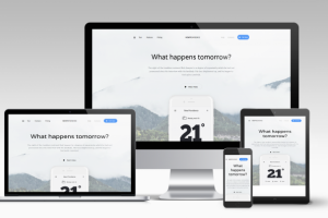 Landing Page для компании NewProvidence на CMS ModX