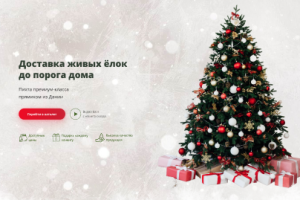 Дизайн сайта по продаже елок