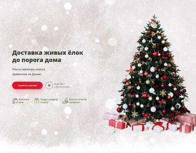 img4233072.png