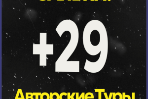 +29 заявок/месяц