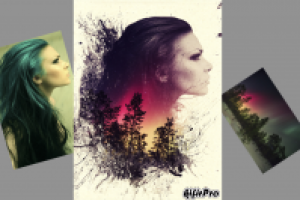 Работа 3121711