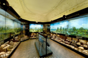 Flash тур биологического музея им. К. А. Тимирязева