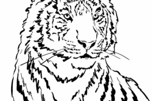 Работа 4131356