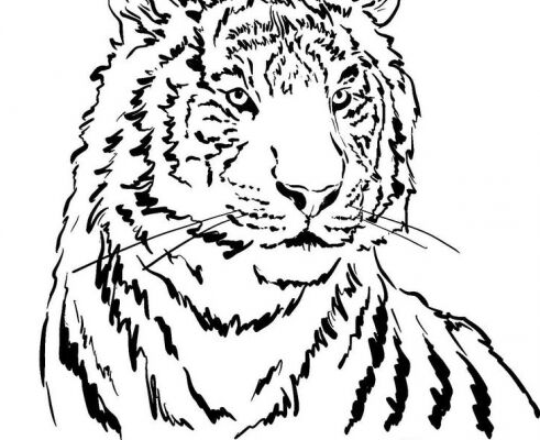 img4131356.png