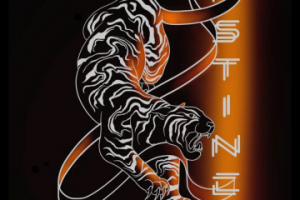 Принт для худи