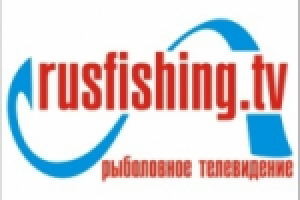 русфиш концепт