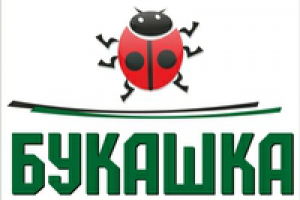 Букашка