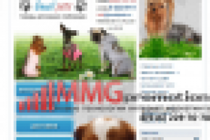 ВКОНТАКТЕ - Магазин для собак