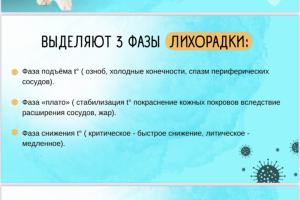 Гайды и презентации