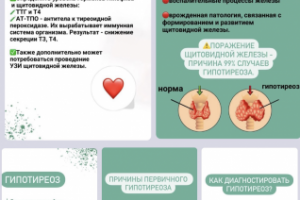 Работа 4433871