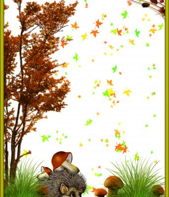 img3205605.png