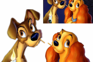 леди и бродяга