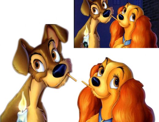 img3199674.png