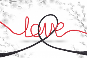 Рекламная предметная съемка для сайта и каталога