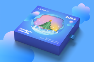 Дизайн подарочного бокса 2024