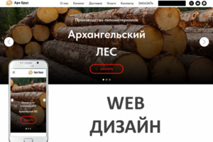 Создание - Заполнение - Редактирование САЙТОВ на Tilda