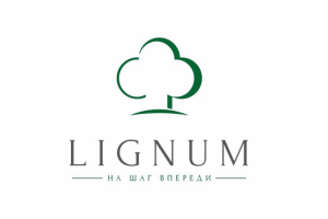 ЛОГО (полный брендинг)