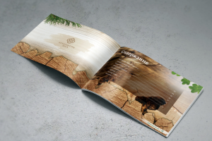 Каталог (live edge мебель)