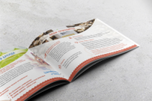 Буклет - презентация