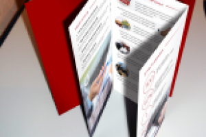 Евробуклет в обложке (брендинг)