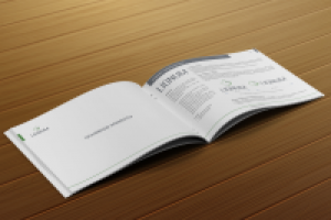 Верстка Брендбука