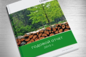 Элементы фирменного стиля (Брендинг)