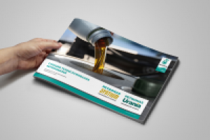 Брендинг (Брендбук)