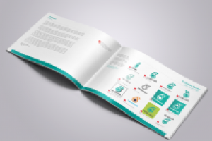 Брендинг (Брендбук)