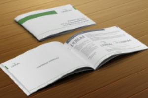 Брендинг (Брендбук)