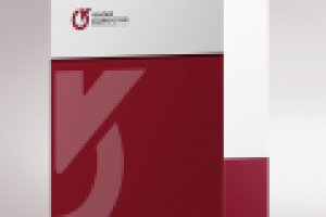 Фирменная папка (брендинг)