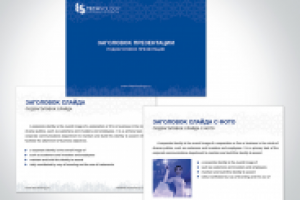 Шаблон презентации