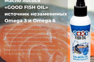 Рекламный баннер для e-mail рассылки и соцсетей