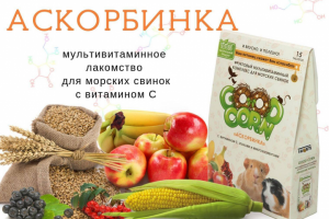 Рекламный баннер для e-mail рассылки и соцсетей