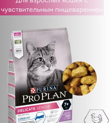 img4429951.png