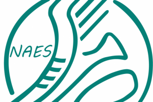 NAES