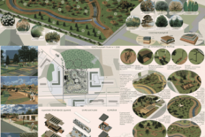 Куровой проект парка