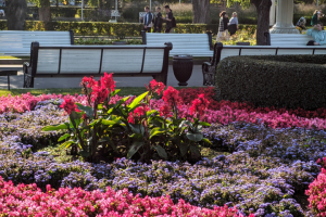 Ретушь фотографий