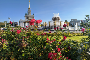 Ретушь фотографий