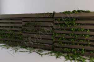 Живой забор