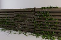 img1790020.png