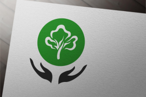 Экологический проект