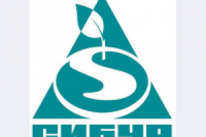 СИБУР - русские шины