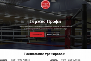 Landing page Гермес профи