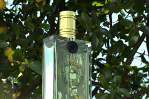 Nicolai Parfumeur - Createur