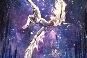 Cirque du Solei: Varekai